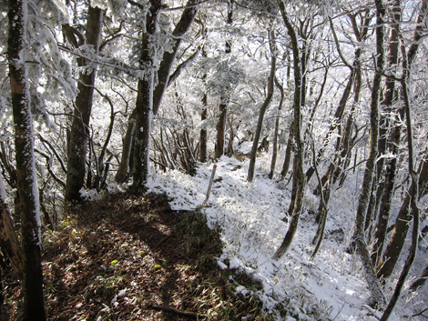 20191129hike (306)